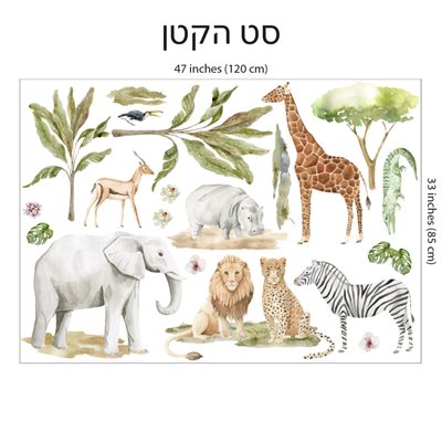 סט הקטן
