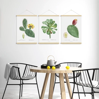 סט תמונות קקטוסים וינטג'– איורים של Pierre-Joseph Redouté