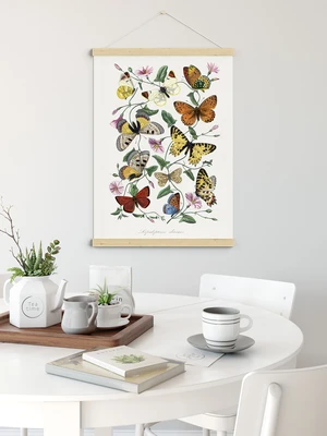 תמונת קיר וינטג' בוטני – פרפרים צבעוניים קלאסיים Paul Gervais