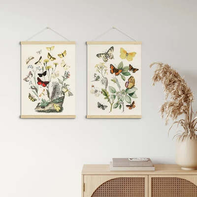 תמונות קיר פרפרים צבעוניים באיור וינטג' של William Forsell Kirby