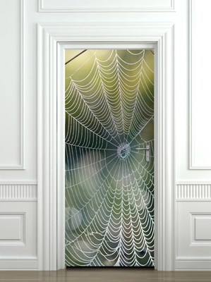 קורי עכביש טפט לדלת